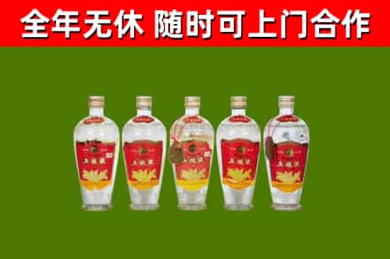 珠海回收老五粮液